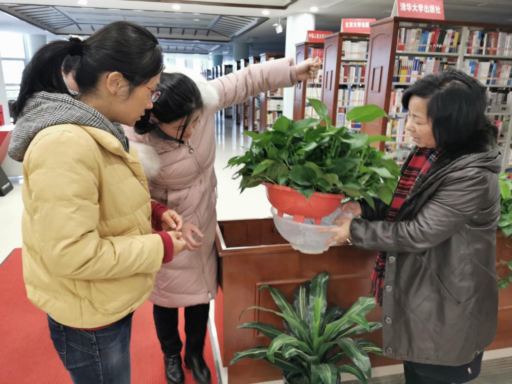 香港欲钱料