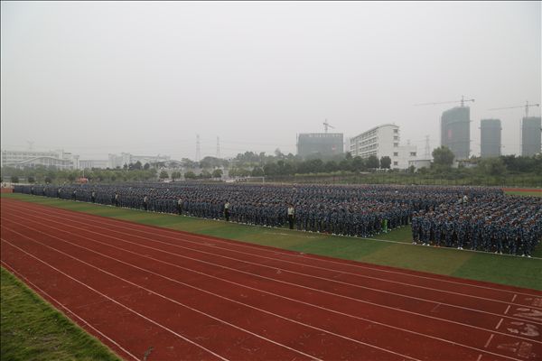 香港欲钱料