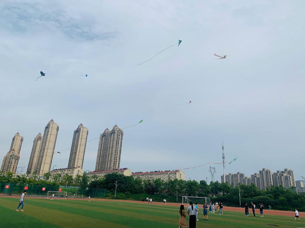 香港欲钱料