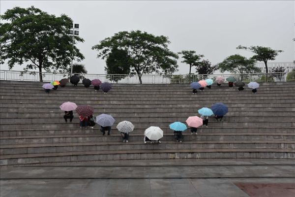 香港欲钱料