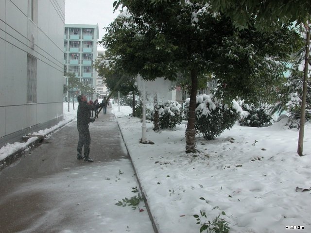 香港欲钱料